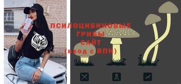 спайс Баксан
