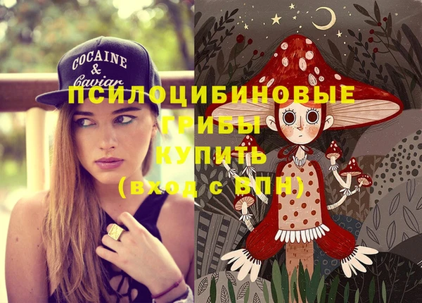 молекула духа Балахна