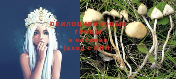 молекула духа Балахна