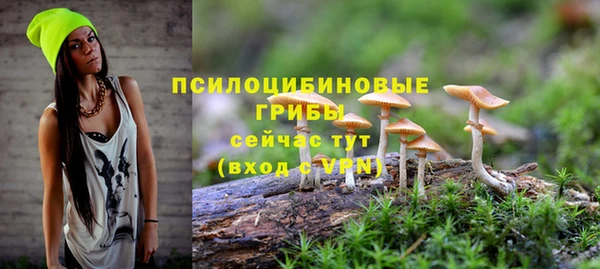 молекула духа Балахна
