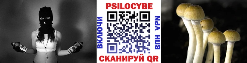где купить наркоту  Курильск  маркетплейс как зайти  Галлюциногенные грибы GOLDEN TEACHER 